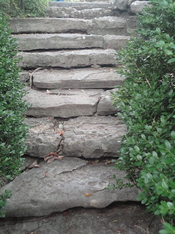 stone stairs 480